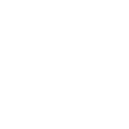 Transport/Internet Allowance